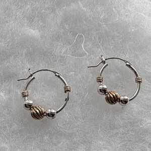 Elegant Silver and Gold Hoop Earrings